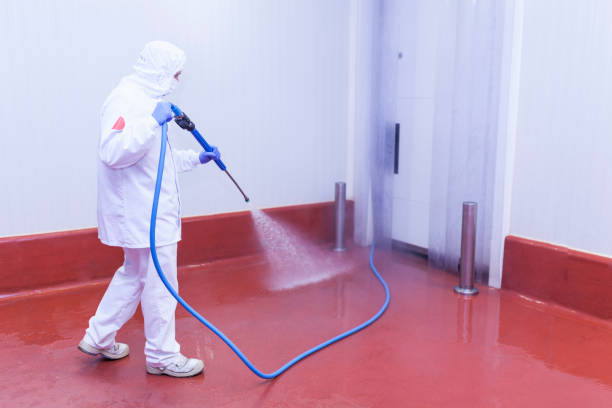 Spring Cleaning in Rolling Hills Estates, CA